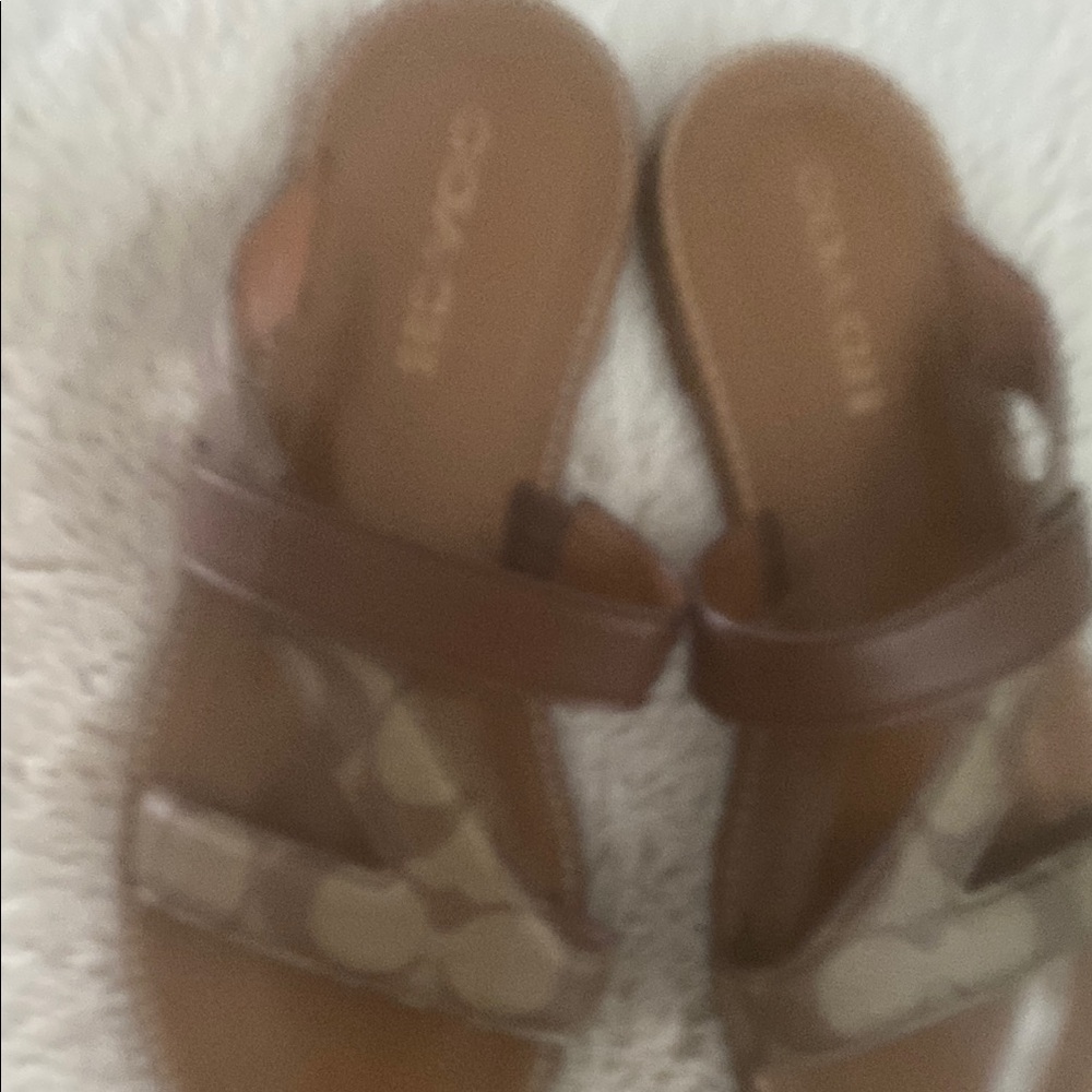 Brown Coach Sandals
